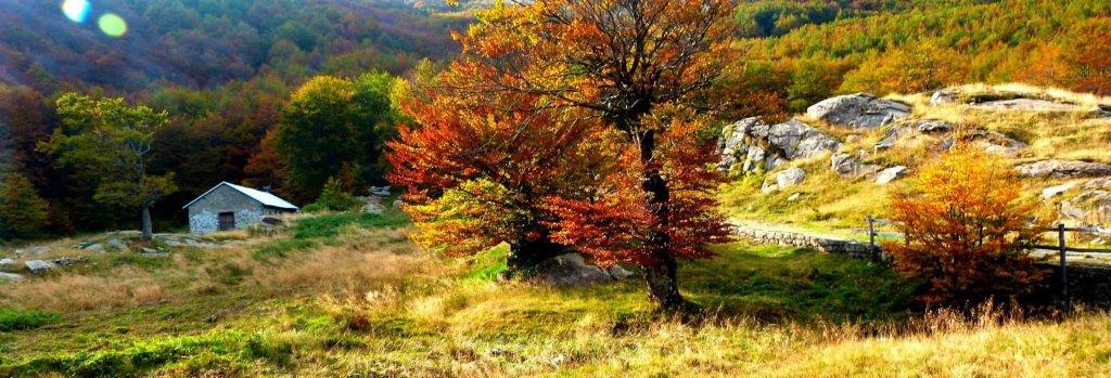Un anno di finesettimana imperdibili all'Ostello nel Castello
