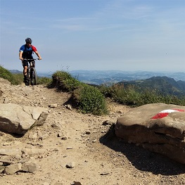 On the Trails of Ancient Ways: Bike Tours on the Via di Linari 