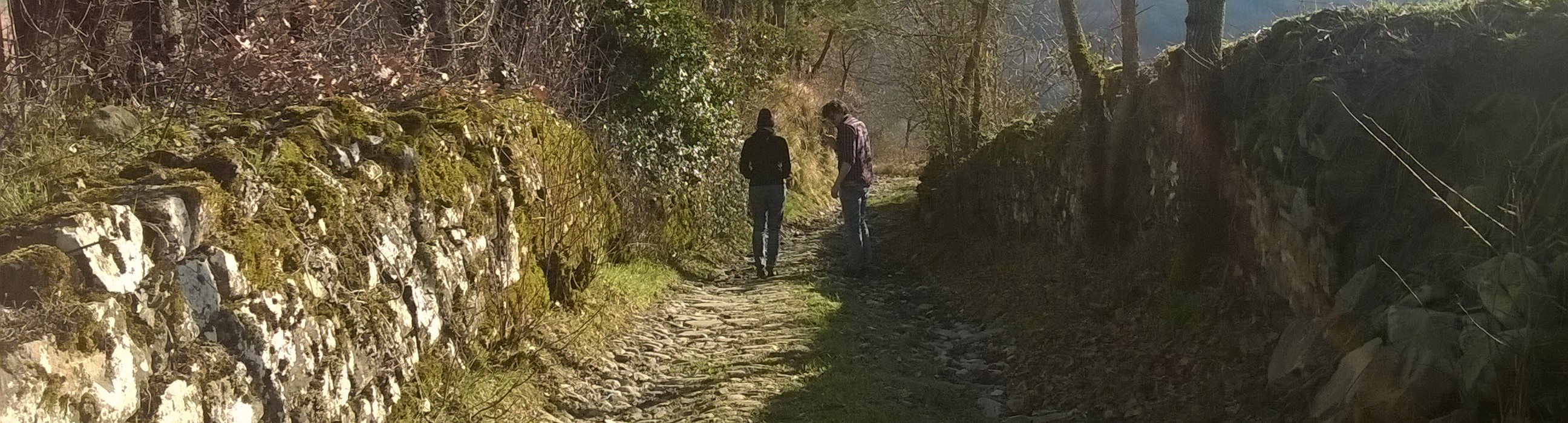 Servizi turistici sul CAMMINO Via di Linari 