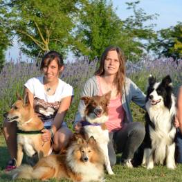 A tu per tu con gli animali