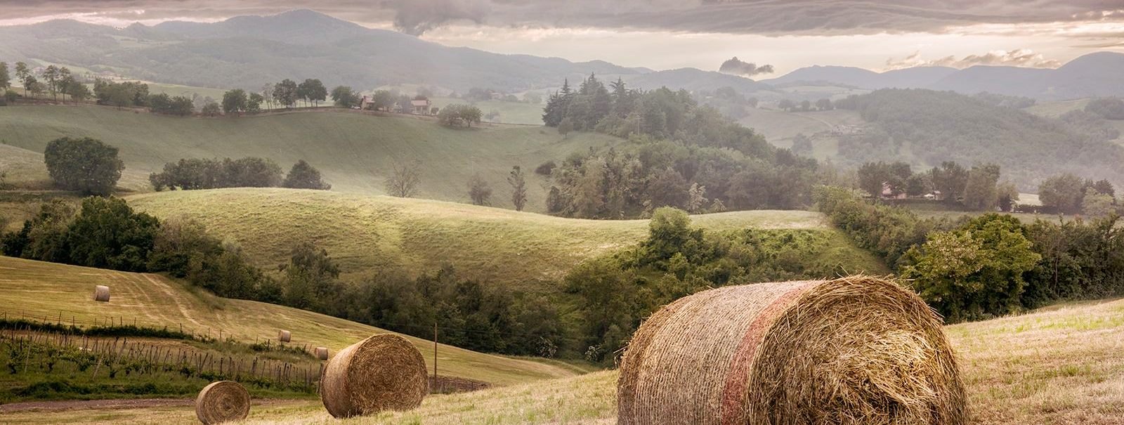 Una grande esposizione a cielo aperto