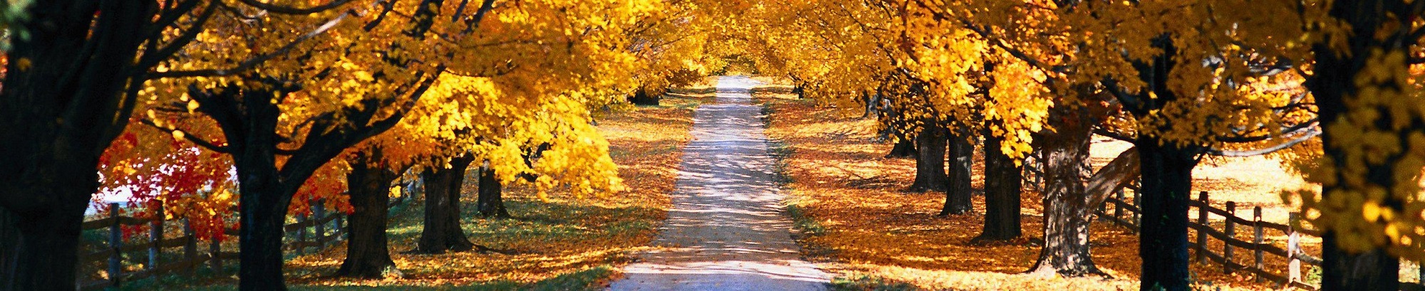 DOLCE DI NATURA: le ricette per l’autunno