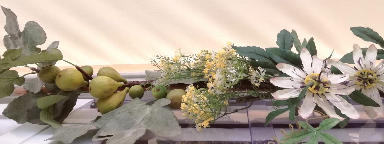 La Veranda Botanica del Venerdì in Piazza a Torrechiara